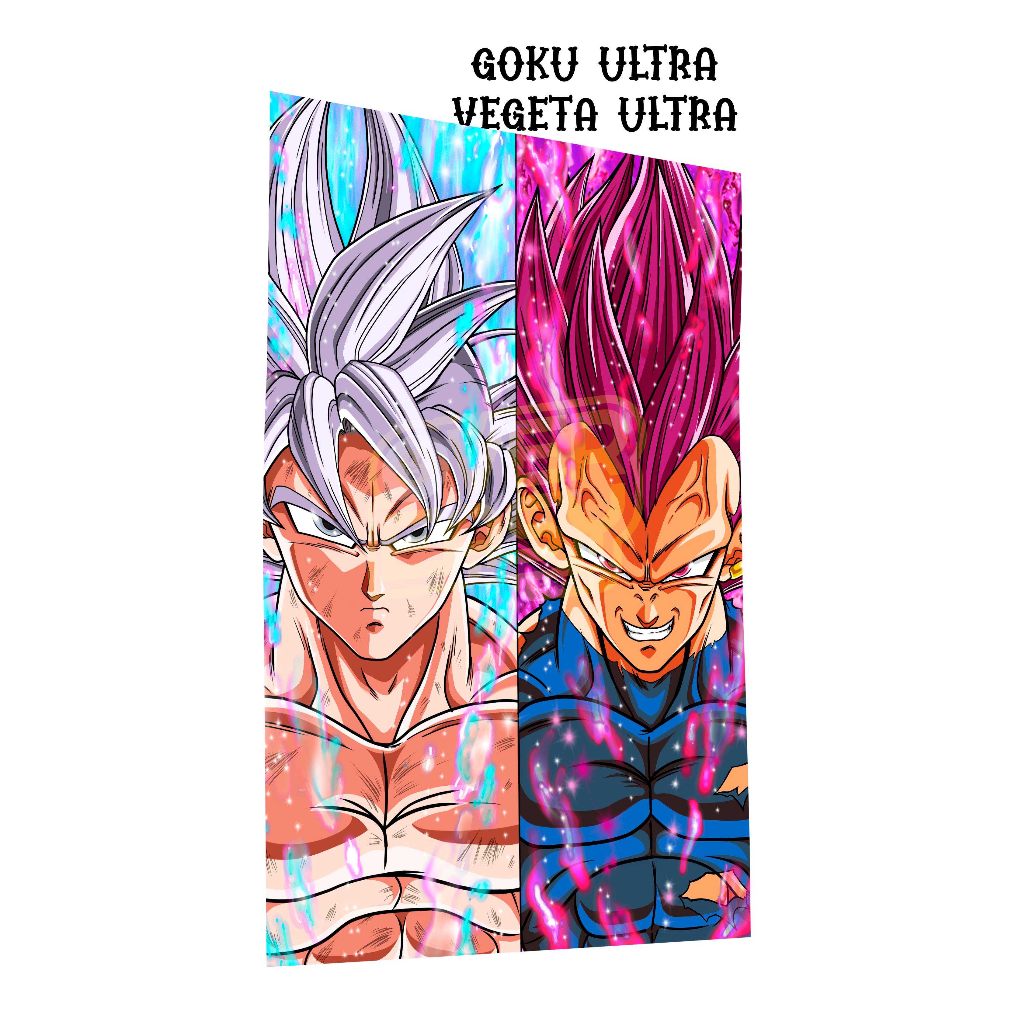 Gohan & Vegeta Ultra Instinct Dragon Ball Z Fanart HD Super Glossy Metal Print